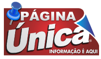 Página Unica