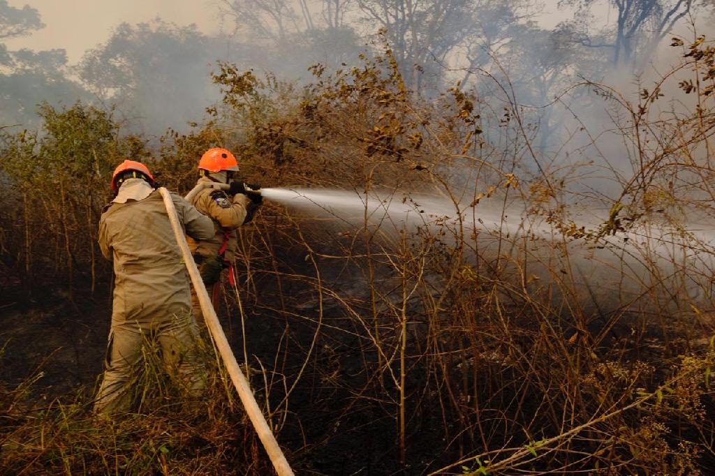 EMERGÊNCIA AMBIENTAL: Período proibitivo do uso do fogo em Mato Grosso vai de 1º de julho a 30 de setembro