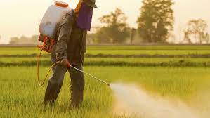    Suprema Corte dos EUA rejeita recurso e confirma condenação do grupo Bayer por herbicida Roundup; o defensivo é usado largamente em MT e no País