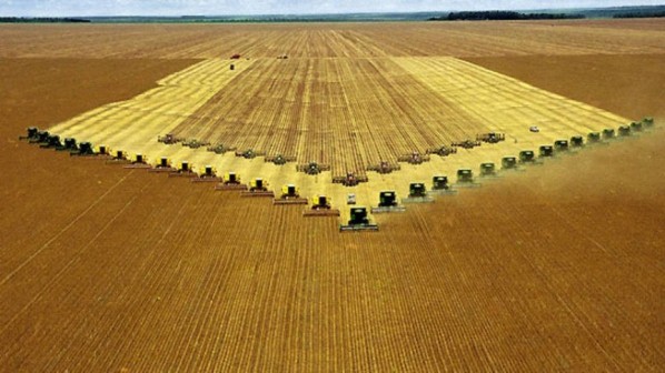  REBORDOSA: Carta da Fiesp em defesa da democracia e contra ameaças golpístas é assinada por 8 entidades do agronegócio