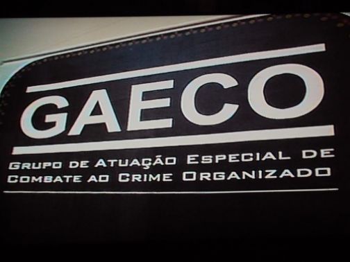 INCÊNDIOS CRIMINOSOS: Gaeco deflagra operação contra grupo que ateava fogo em floresta nativa