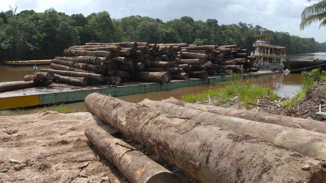 DESTRUIÇÃO ACELERADA: Área devastada na Amazônia neste ano corresponde a 8 vezes a cidade do Rio; MT se destaca no desmatamento