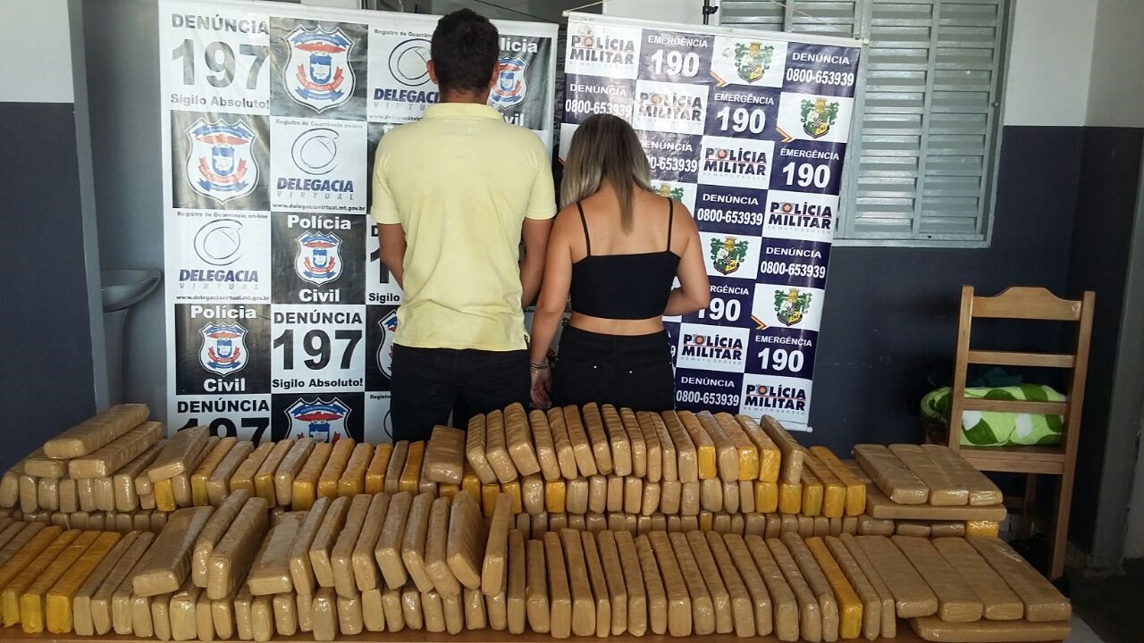 Polícias Civil e Militar apreendem mais de 250 quilos de maconha 