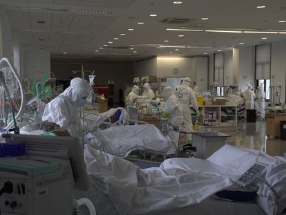 COVID-19: Einstein, Sírio e outros hospitais privados têm alta de internações de pessoas infectadas com o vírus