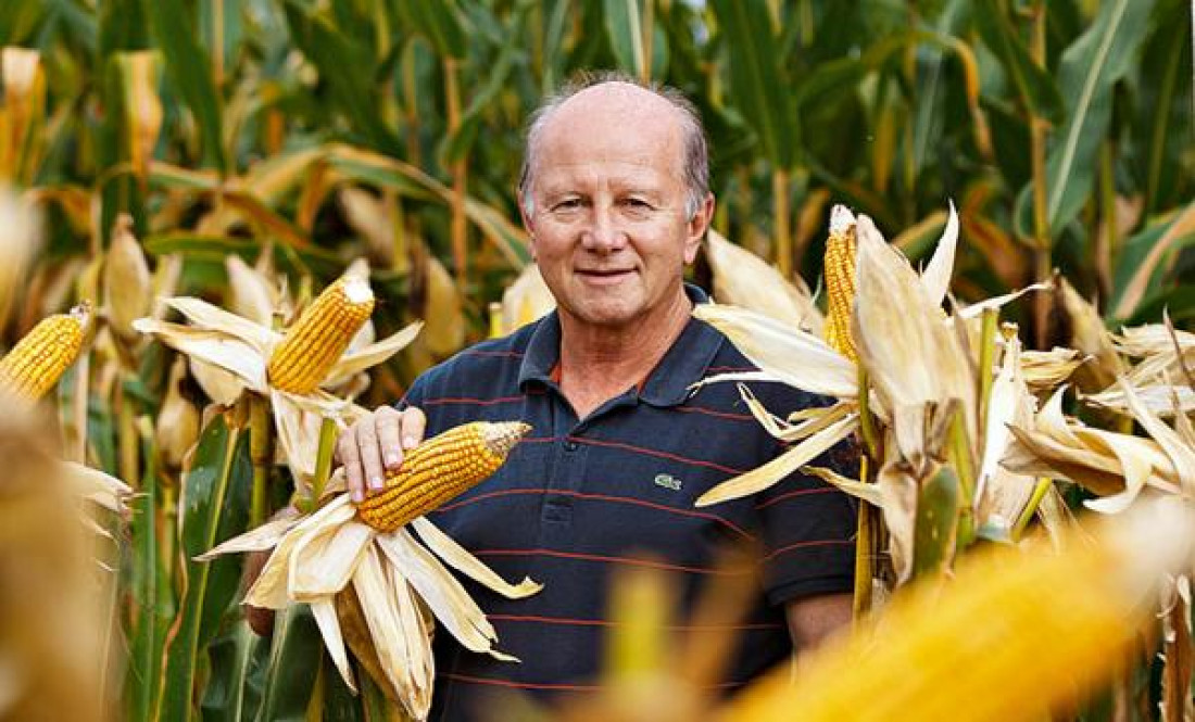 Empresários do agro de MT que são doadores da campanha de Bolsonaro se destacam entre donos de caminhões em atos golpistas no DF