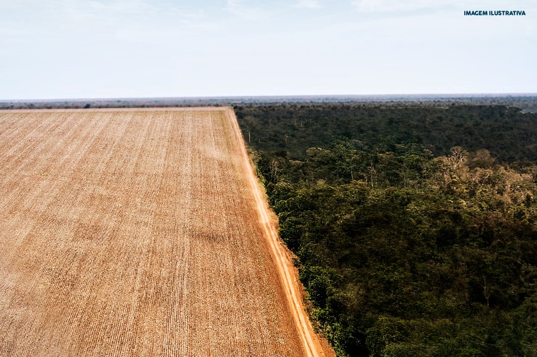 CRIME AMBIENTAL: Fazenda com parte de sua área no bioma pantaneiro tem embargo mantido pelo TJMT por desmatamento e drenagem ilegal 