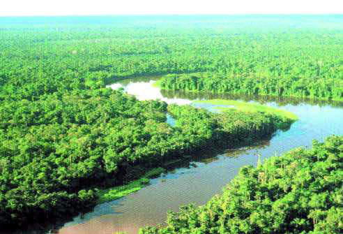 AMAZÔNIA: Conciliar desenvolvimento com preservação é fundamental para atrair investimentos externos para o Brasil