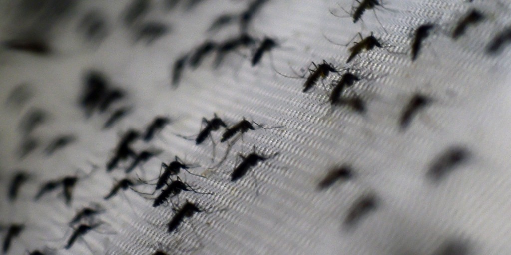 AÇÕES NA SAÚDE: Rondonópolis intensifica guerra à dengue e foca combater proliferação do mosquito 