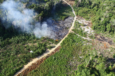 DADO O RECADO: “Brasil será implacável na punição aos crimes ambientais”