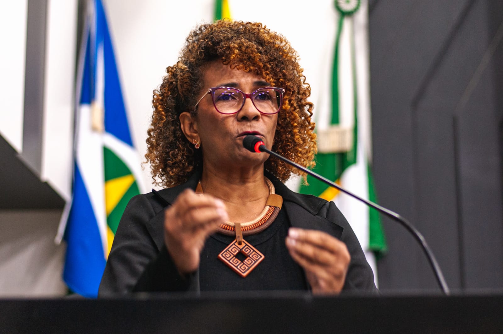 APROPRIAÇÃO DA V.I. : Câmara recorre para manter cassação de Edna Sampaio