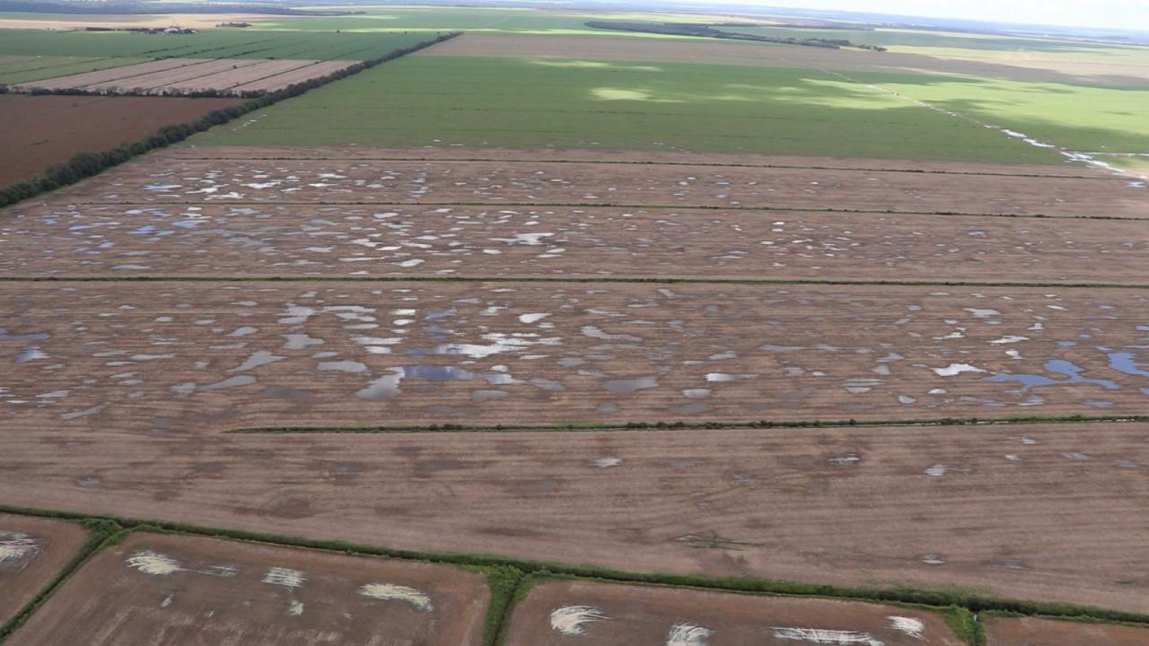 COMEÇOU HOJE (22): É verão em todo o Brasil; no Centro-Oeste é esperado bastante calor e chuva