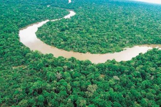 NATUREZA: Entre os benefícios ambientais no 1º ano de Lula, se destaca queda no desmatamento na Amazônia
