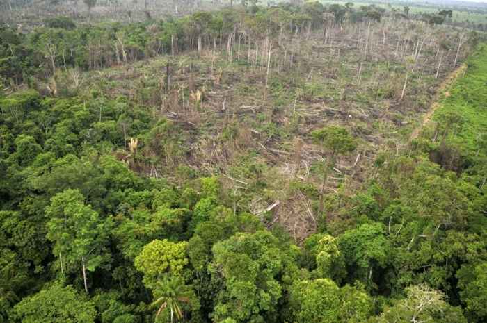 INSTITUTO IMAZON: Mato Grosso está entre os três estados que mais desmataram a Amazônia em 2023