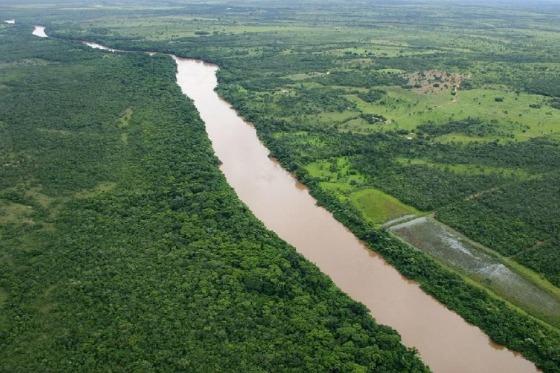 Produtor rural faz acordo para pagar R$ 500 mil por desmatamento ilegal