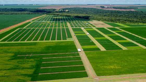 Projeto cria cobrança adicional ao Fethab para financiar entidades do agronegócio