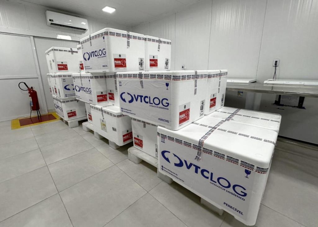 Doses da vacina contra a dengue serão liberadas a municípios de MT nesta quinta-feira (02)