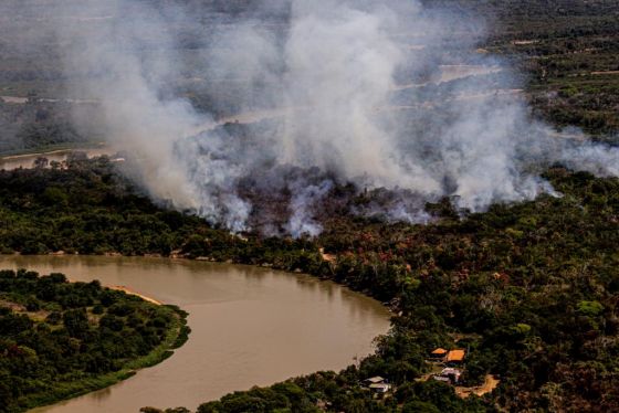 Incêndios disparam mais de 1000% e bacia do rio Paraguai tem seca recorde