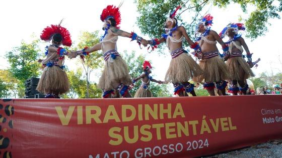 Proposta de Botelho é citada na Semana do Meio Ambiente para impulsionar a arborização em MT