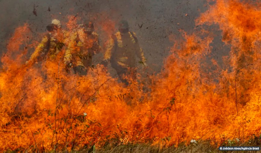 Pantanal acumula em 12 meses mais de 9 mil focos de incêndio