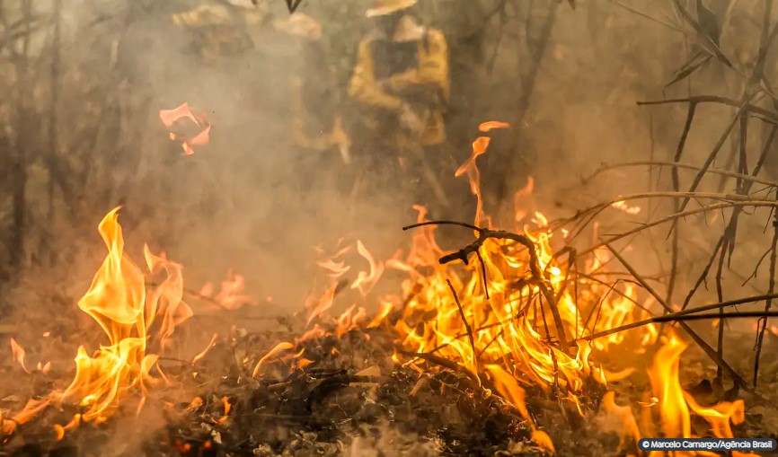Focos de incêndio no Pantanal estão sob investigação da PF, diz Marina