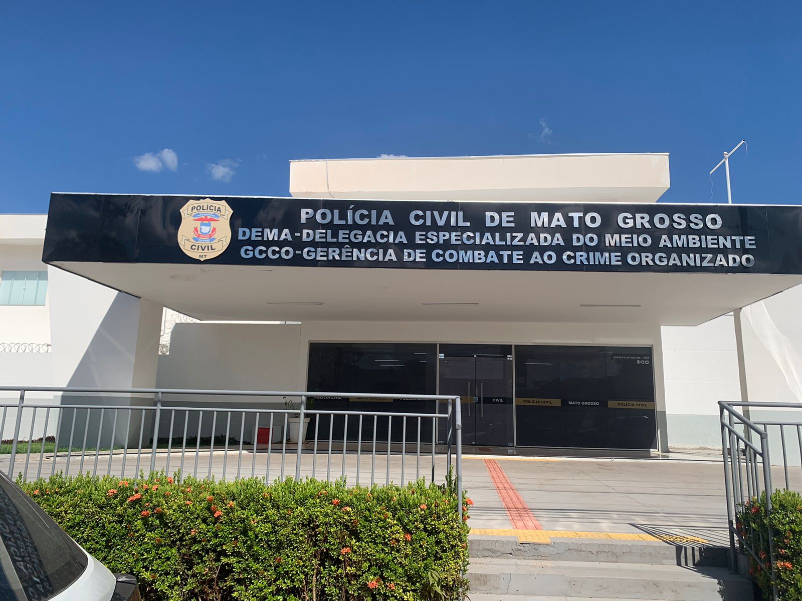 Polícia Civil interroga idoso que matou gata em Cuiabá