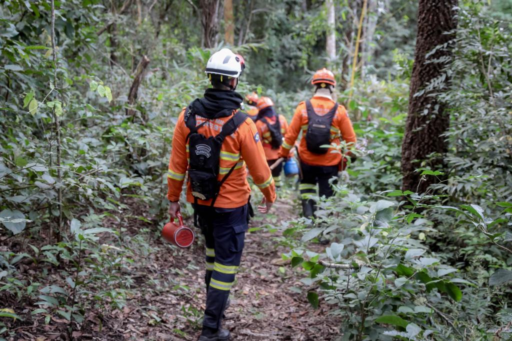 “Nós viemos aprender com os maiores especialistas em gestão de incêndio florestal”, afirma tenente-coronel bombeiro do Rio de Janeiro