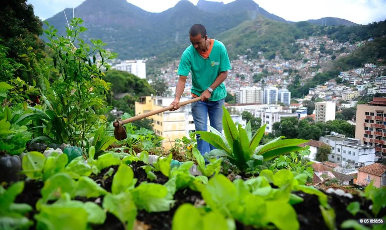 Nova lei pretende estimular a produção de alimentos nas cidades