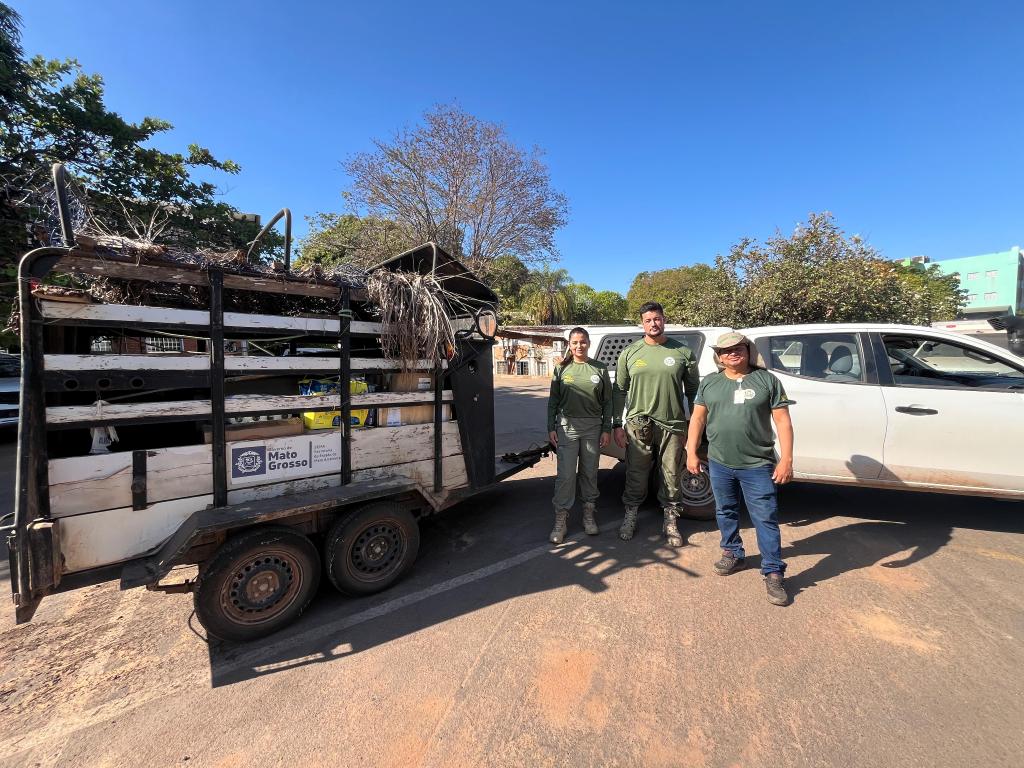 Em ação preventiva, Sema reforça equipe de fauna com cinco veterinários especializados em animais silvestres