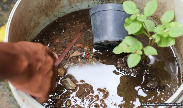 Brasil ultrapassa marca de 5 mil mortes por dengue