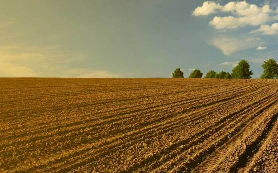 Justiça libera repasse do Fethab a entidades do agro após Assembleia mudar lei