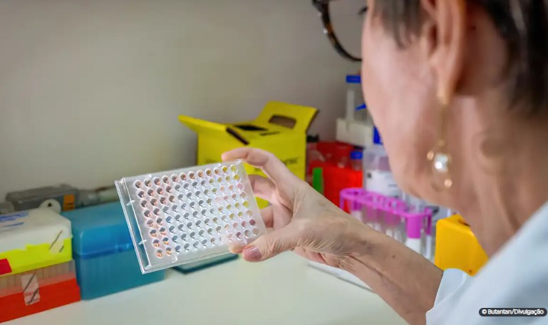 Pesquisadoras podem se inscrever no programa Mulheres na Ciência