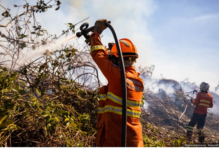 Corpo de Bombeiros extingue dois incêndios e combate outros 20 neste domingo (11)