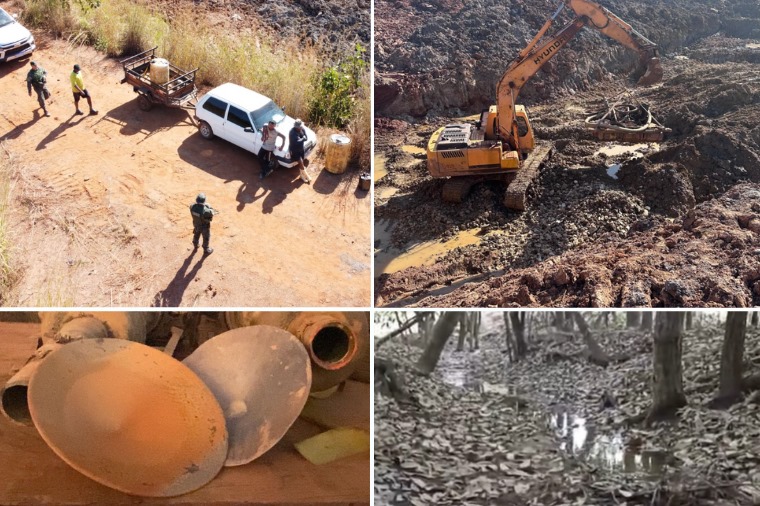 Fazendeiros autuados em operação são denunciados por crimes ambientais