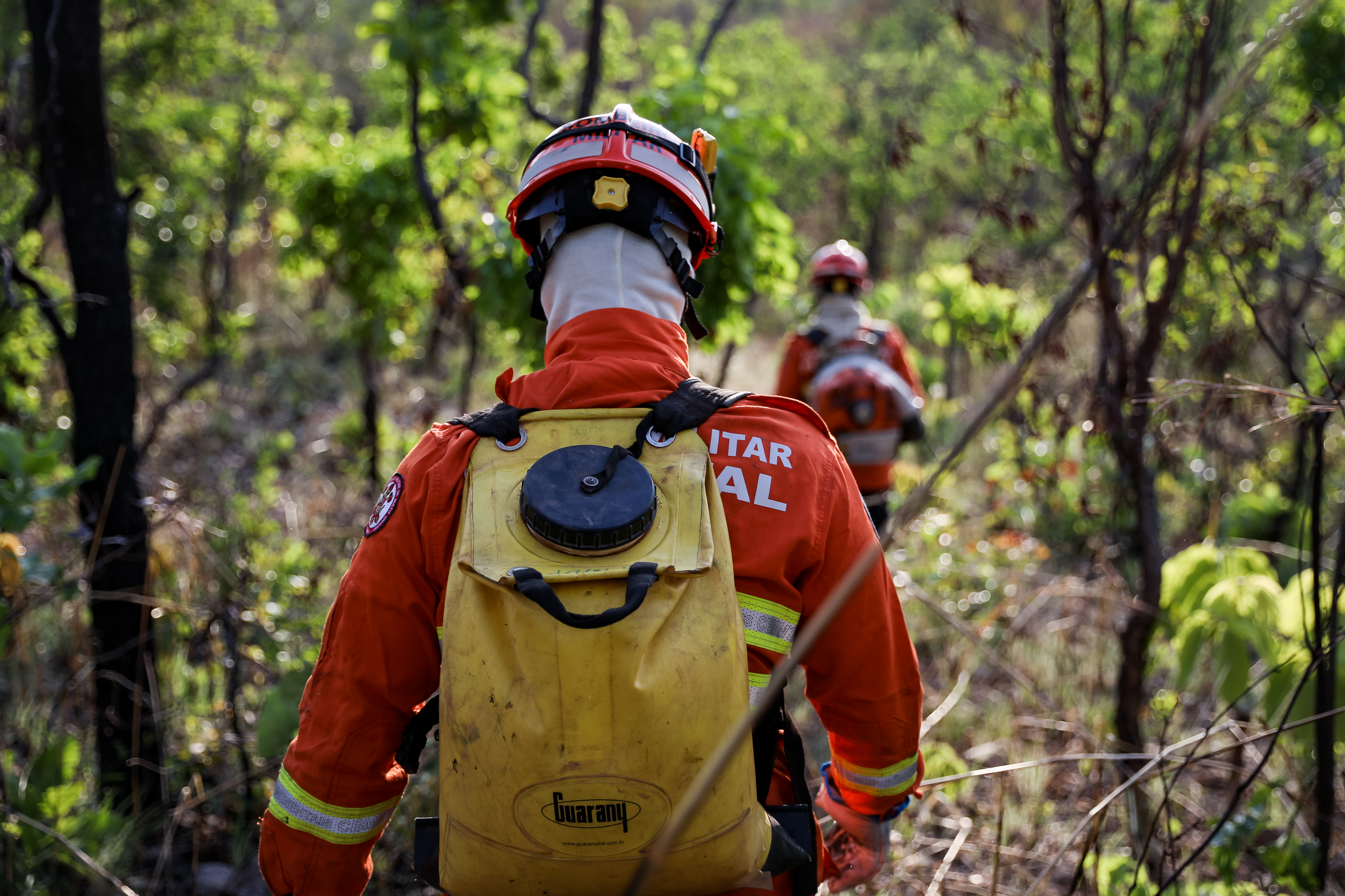 Corpo de Bombeiros combate 25 incêndios florestais em Mato Grosso neste sábado (24)