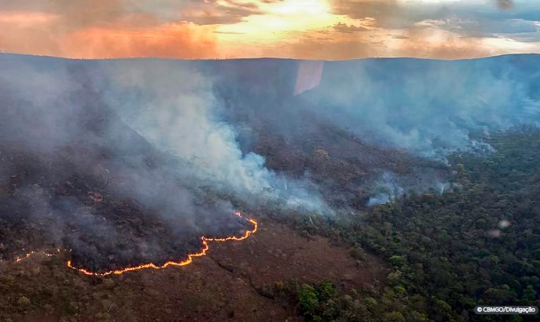Brasil concentra 76% dos incêndios na América do Sul