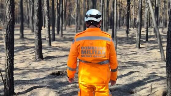 Floresta da Faber-Castell que dá origem aos lápis de cor é atingida por incêndio