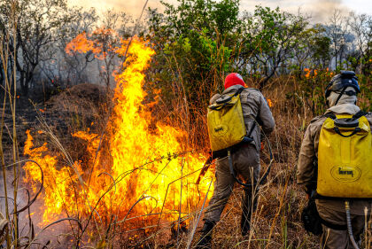 Deputado Sebastião Rezende indica parceria público-privada com empresas de aviação agrícola no combate aos incêndios