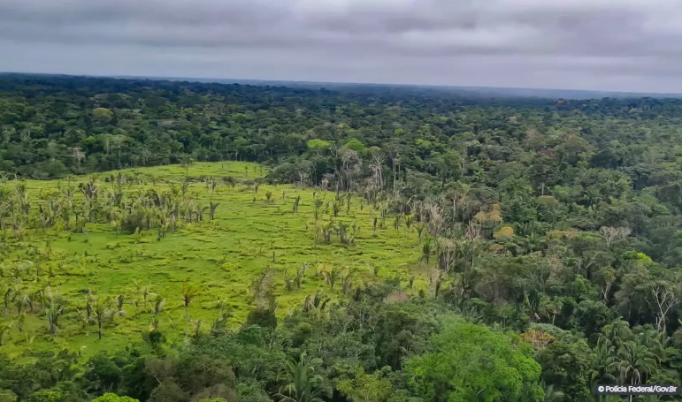 Alertas de desmatamento na Amazônia caem 10,6% em agosto