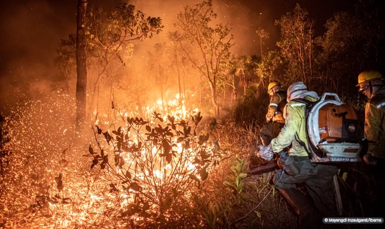 Monitoramento mostra que 99% dos incêndios são por ação humana