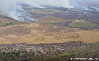 Emissão de gases por incêndios é recorde em dois estados