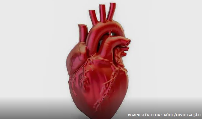 Doenças cardiovasculares matam 400 mil brasileiros por ano