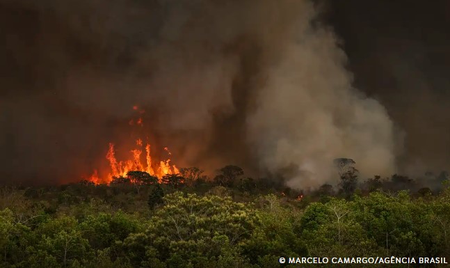 Brasil tem 22,38 milhões de hectares atingidos pelo fogo em nove meses