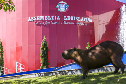 ALMT altera ponto facultativo do Dia do Servidor Público