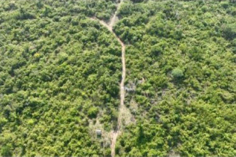 Dono de área ao lado de parque estadual é denunciado por nove crimes