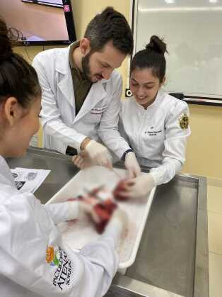 Empresa contribui com faculdade de medicina doando órgãos de suínos para estudos
