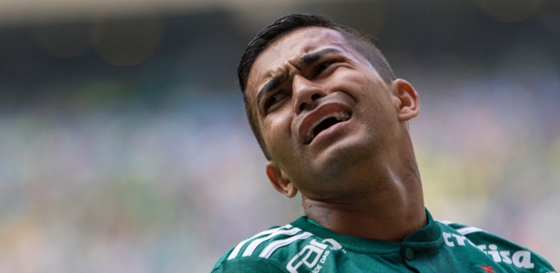 Palmeiras bate Bahia e encara Cruzeiro na semifinal da Copa do Brasil