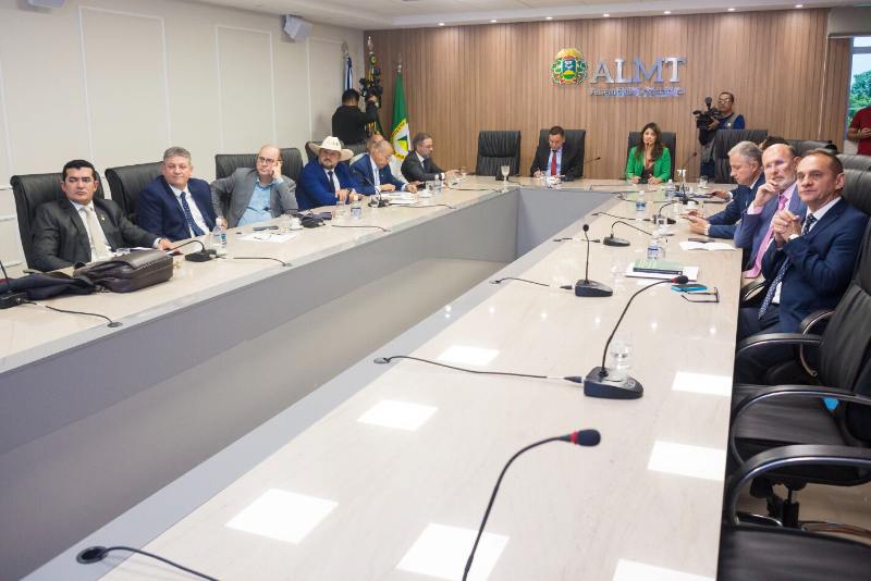 Defensora pública-geral apresenta Projeto Pintando Mato Grosso de Verde a parlamentares mato-grossenses