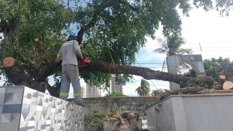 Prefeitura intensifica zeladoria e realiza mutirão de limpeza em cemitérios da capital