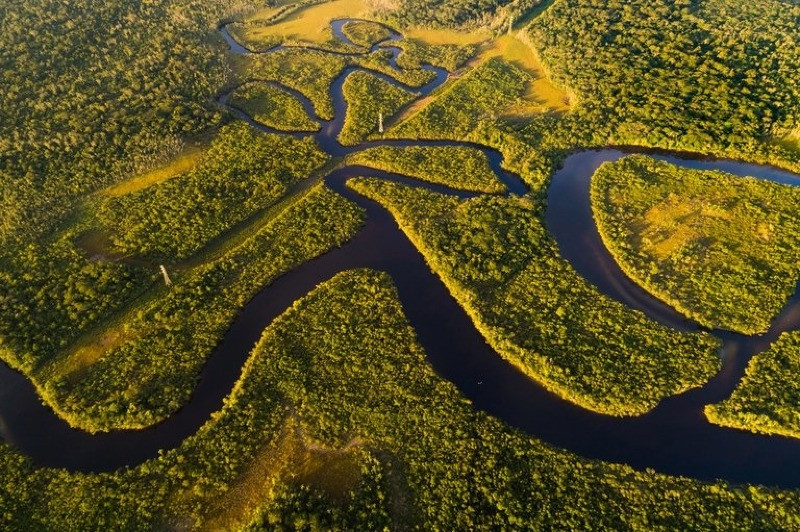 ALMT aprova projeto que reduz reserva legal no Cerrado para 35% e mantém 80% na Amazônia