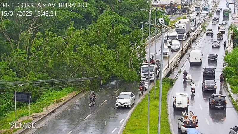 Queda de árvore derruba poste, bloqueia a Avenida Fernando Corrêa da Costa em Cuiabá e gera transtornos no trânsito